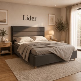 Lider